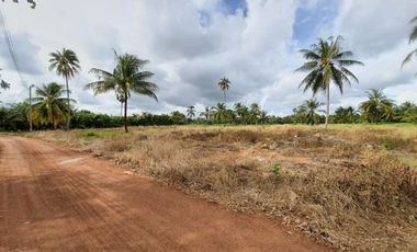 For sale land in Klaeng, Rayong