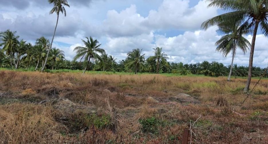 For sale land in Klaeng, Rayong