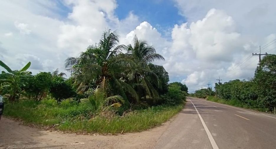 Terreno en venta en Klaeng, Rayong