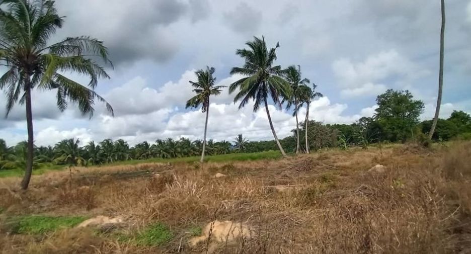 Terreno en venta en Klaeng, Rayong