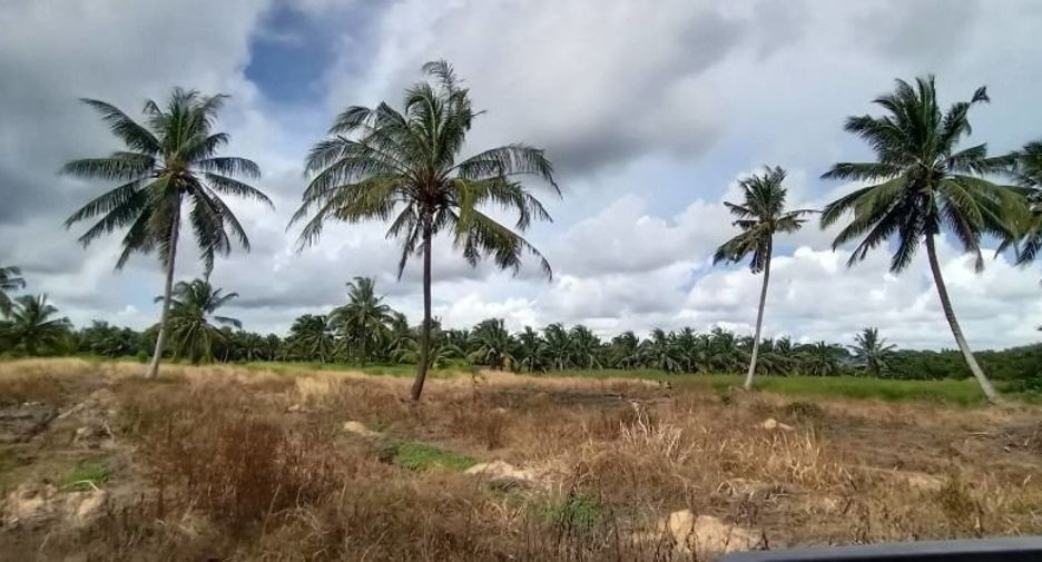 Terreno en venta en Klaeng, Rayong