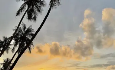 For sale land in Ko Kut, Trat
