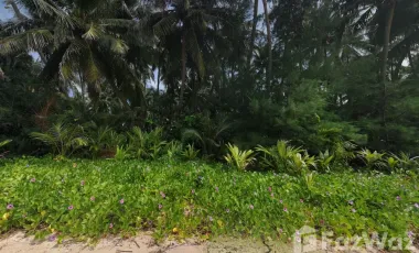 For sale land in Ko Kut, Trat