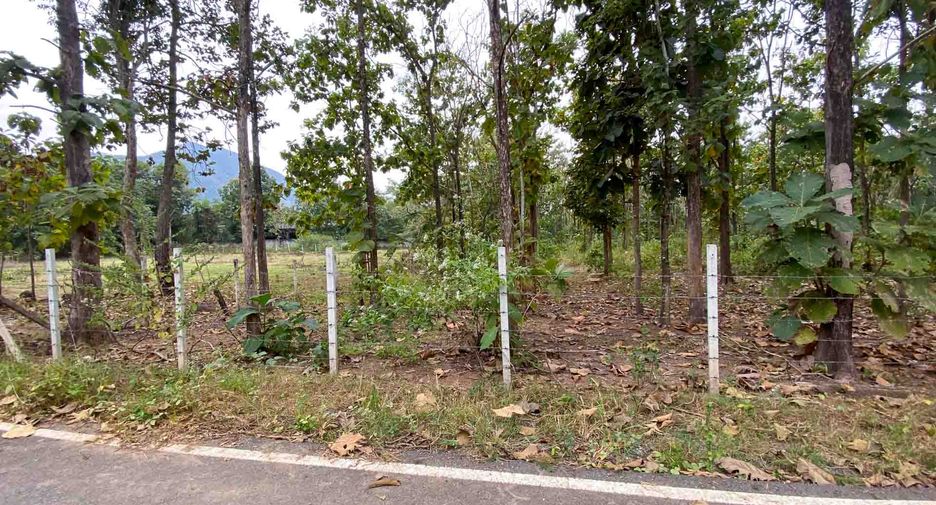 For sale land in Mae On, Chiang Mai