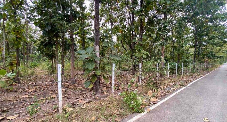 For sale land in Mae On, Chiang Mai