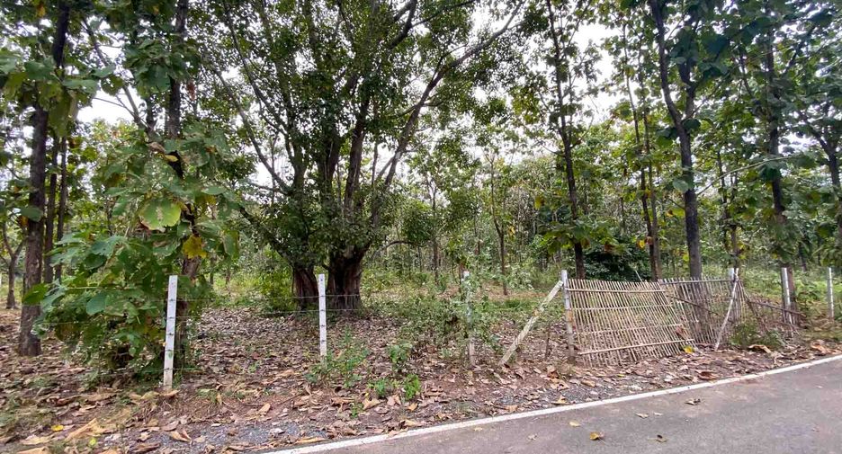 For sale land in Mae On, Chiang Mai