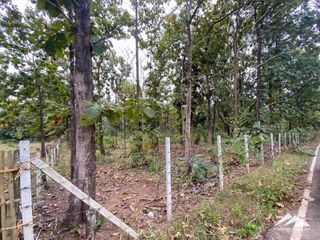 For sale land in Mae On, Chiang Mai
