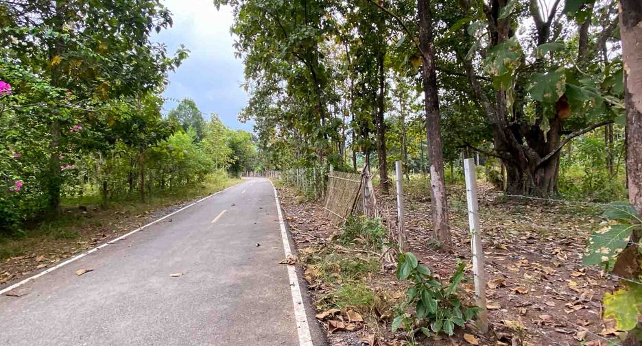 For sale land in Mae On, Chiang Mai