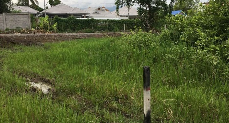 For sale land in Hang Dong, Chiang Mai