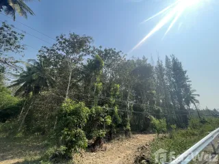 For sale land in Hua Hin, Prachuap Khiri Khan