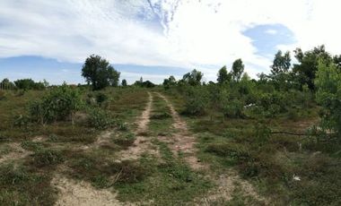 出售 土地 在 Mueang Prachuap Khiri Khan, 班武里府