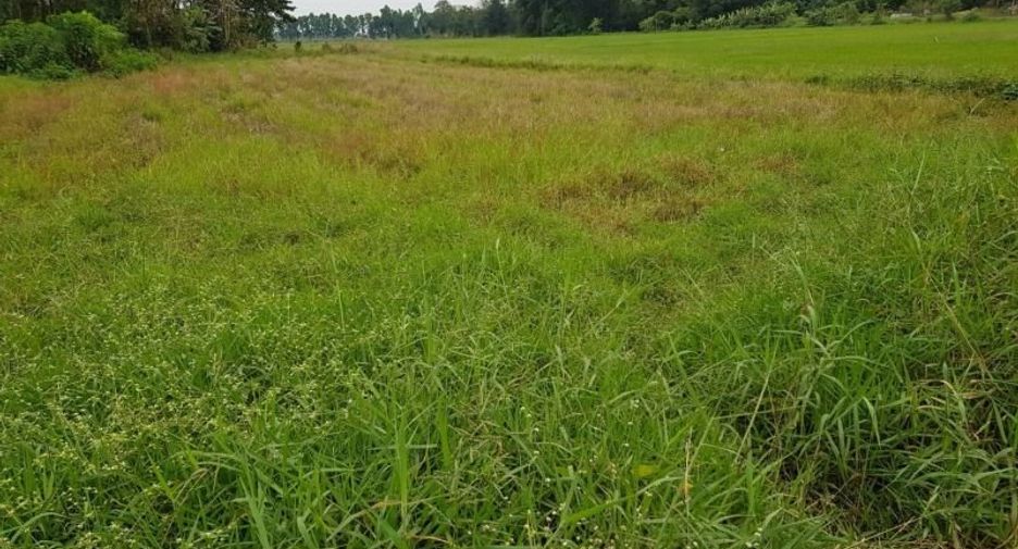 For sale land in Mueang Uttaradit, Uttaradit
