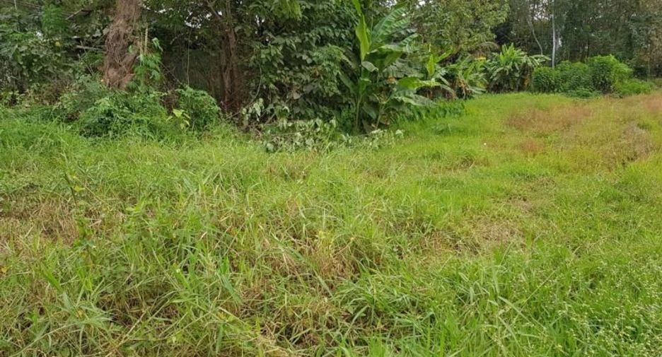 For sale land in Mueang Uttaradit, Uttaradit