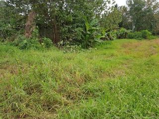 For sale land in Mueang Uttaradit, Uttaradit