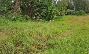 For sale land in Mueang Uttaradit, Uttaradit
