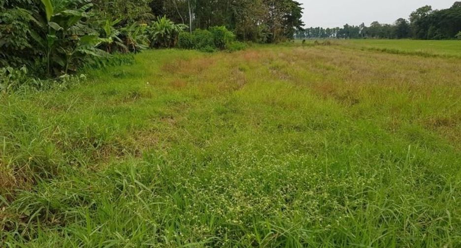 For sale land in Mueang Uttaradit, Uttaradit