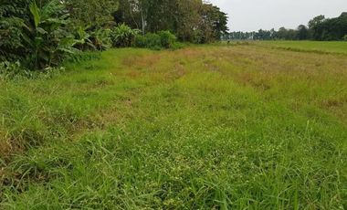 For sale land in Mueang Uttaradit, Uttaradit
