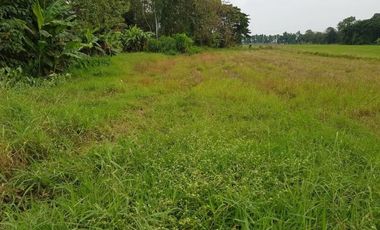 For sale land in Mueang Uttaradit, Uttaradit