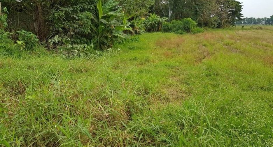 For sale land in Mueang Uttaradit, Uttaradit