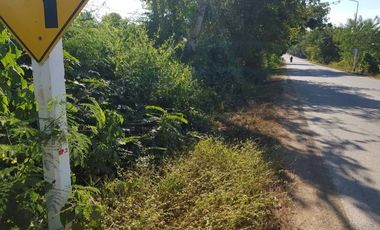 For sale land in Mueang Uttaradit, Uttaradit