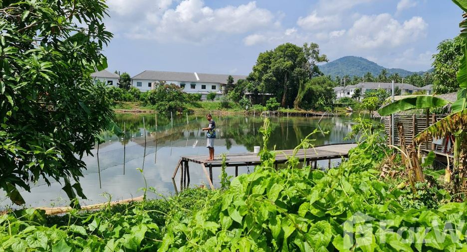 For sale land in Kathu, Phuket
