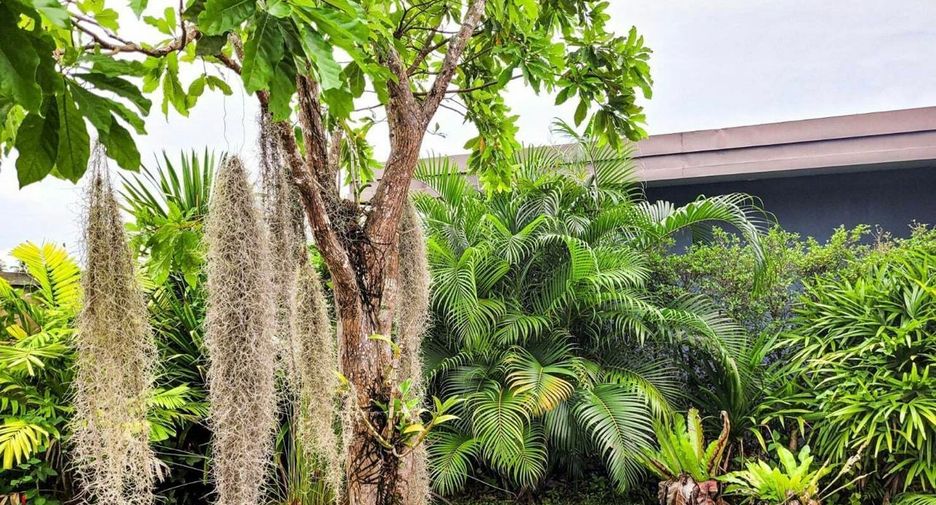 For rent 4 bed villa in Thalang, Phuket