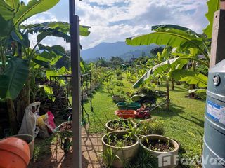 For sale land in Mae Chan, Chiang Rai