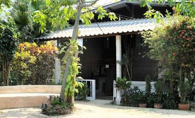 For sale 7 bedrooms retail Space in Pai, Mae Hong Son