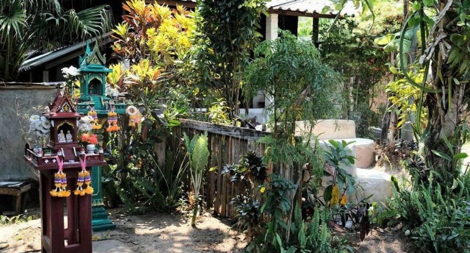 For sale 7 bedrooms retail Space in Pai, Mae Hong Son
