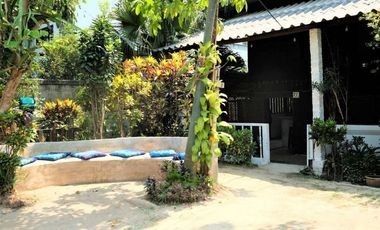 For sale 7 bedrooms retail Space in Pai, Mae Hong Son