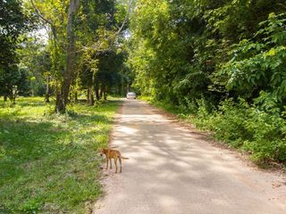 For sale land in Nam Khun, Ubon Ratchathani