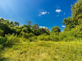 For sale land in Nam Khun, Ubon Ratchathani