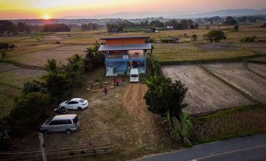 For sale land in Pua, Nan
