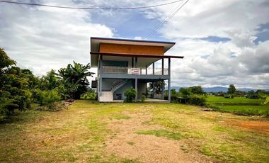 For sale land in Pua, Nan