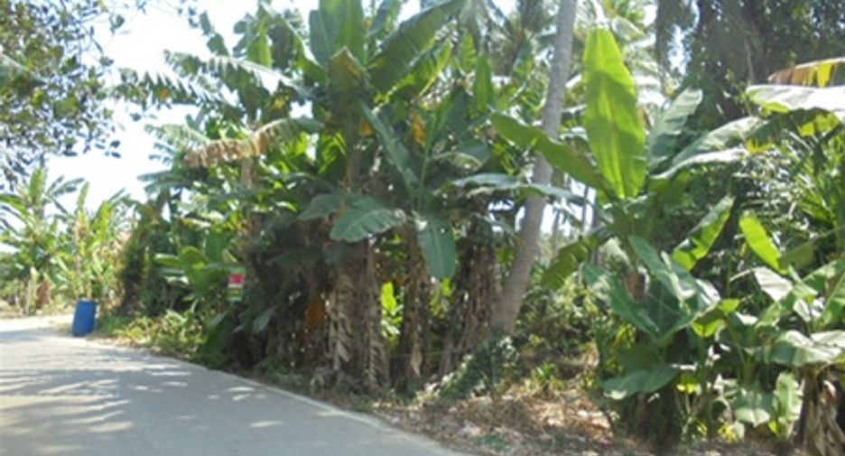 ขาย ที่ดิน ใน สายบุรี, ปัตตานี