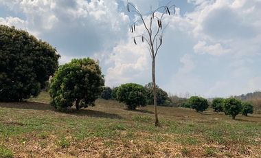 Grundstück zum Kauf in Mae Rim, Chiang Mai