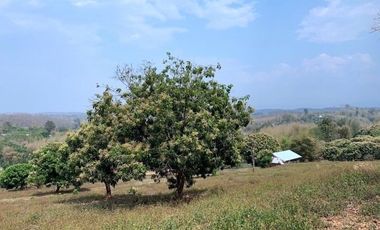 Grundstück zum Kauf in Mae Rim, Chiang Mai