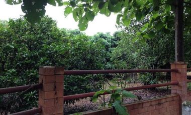 Grundstück zum Kauf in San Kamphaeng, Chiang Mai