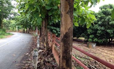 Grundstück zum Kauf in San Kamphaeng, Chiang Mai