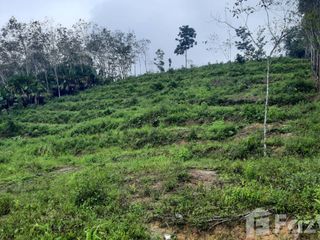 For sale land in Na Thawi, Songkhla