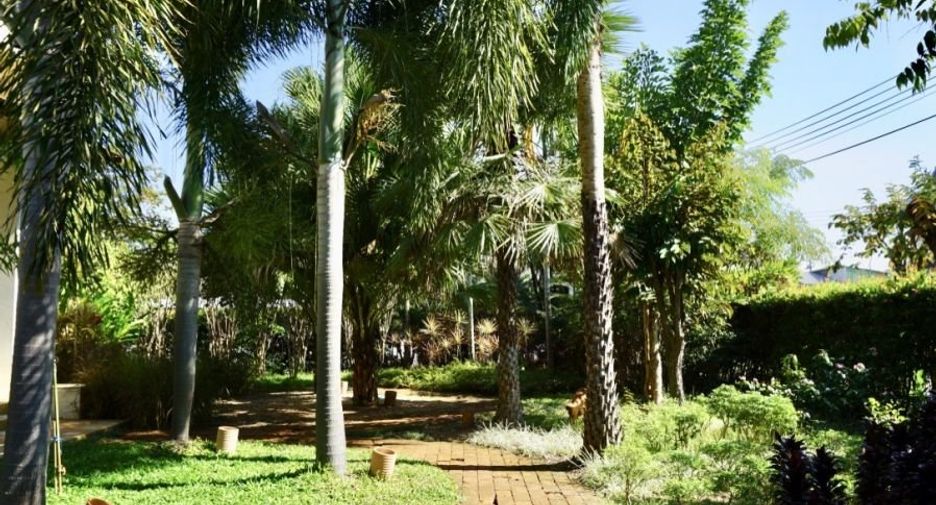 For sale 3 bedrooms house in San Sai, Chiang Mai