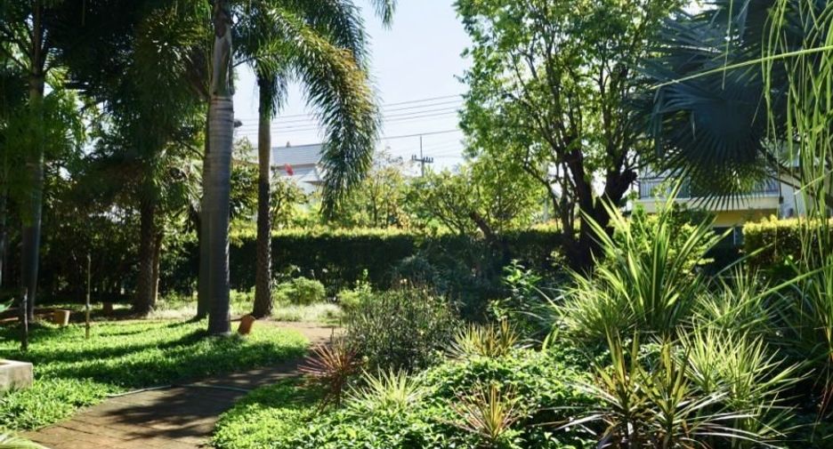 For sale 3 bedrooms house in San Sai, Chiang Mai
