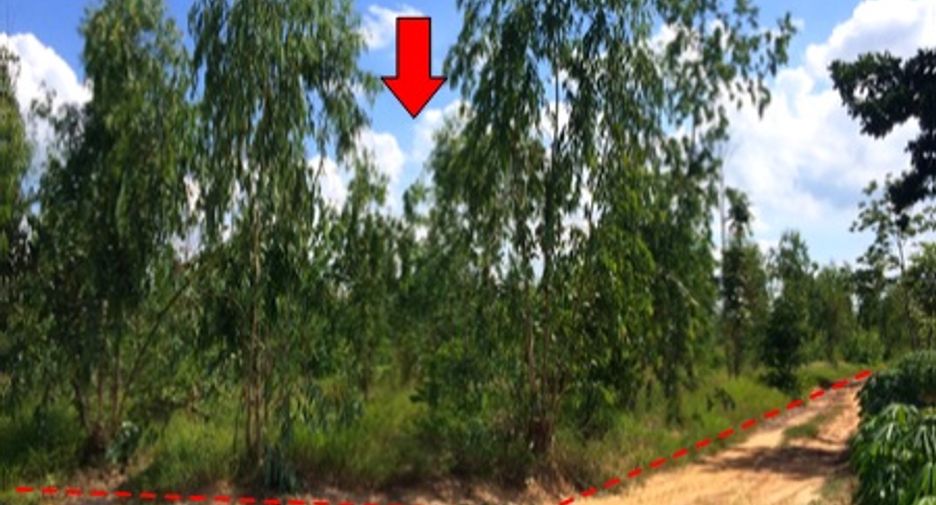 For sale land in Mueang Chaiyaphum, Chaiyaphum