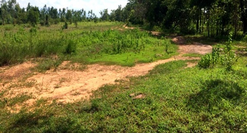 For sale land in Mueang Chaiyaphum, Chaiyaphum