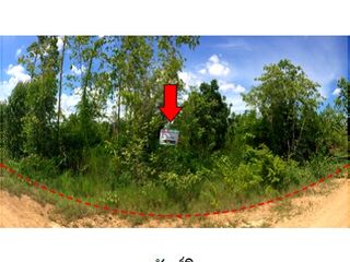 For sale land in Mueang Chaiyaphum, Chaiyaphum