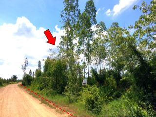 For sale land in Mueang Chaiyaphum, Chaiyaphum