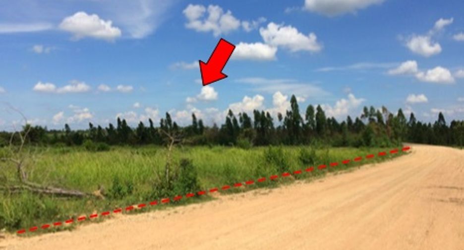 For sale land in Mueang Chaiyaphum, Chaiyaphum