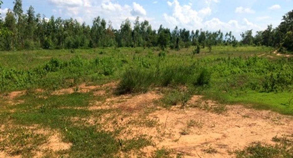 For sale land in Mueang Chaiyaphum, Chaiyaphum