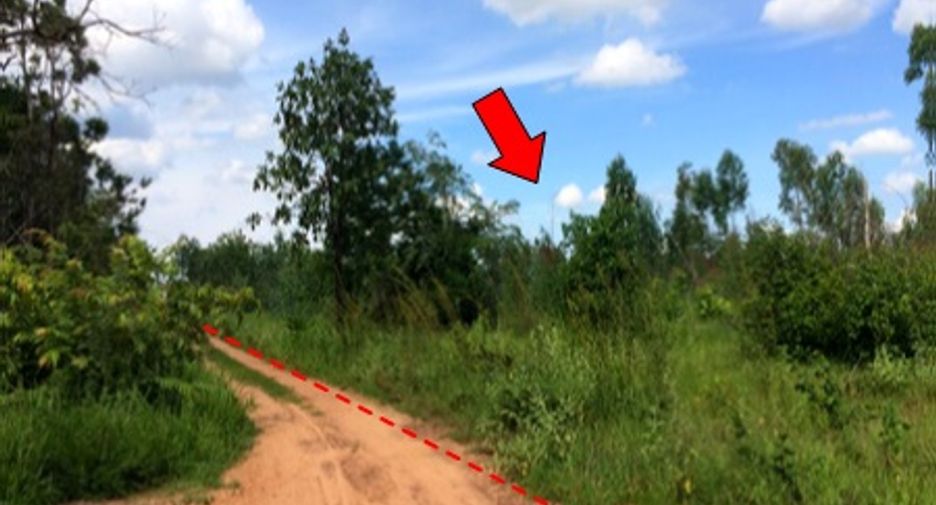 For sale land in Mueang Chaiyaphum, Chaiyaphum