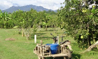 For sale land in Thong Pha Phum, Kanchanaburi